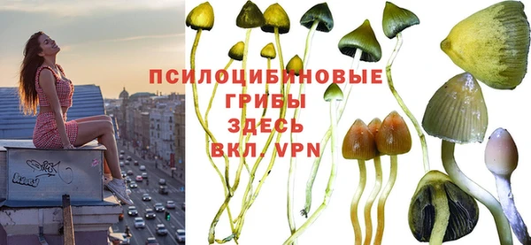 кристаллы Алзамай